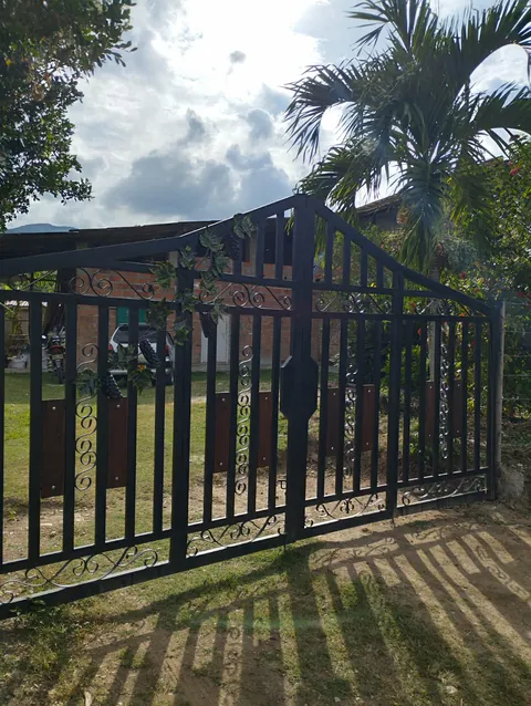 Portón metálico negro con volutas y tablas de madera frente a una casa con palmera